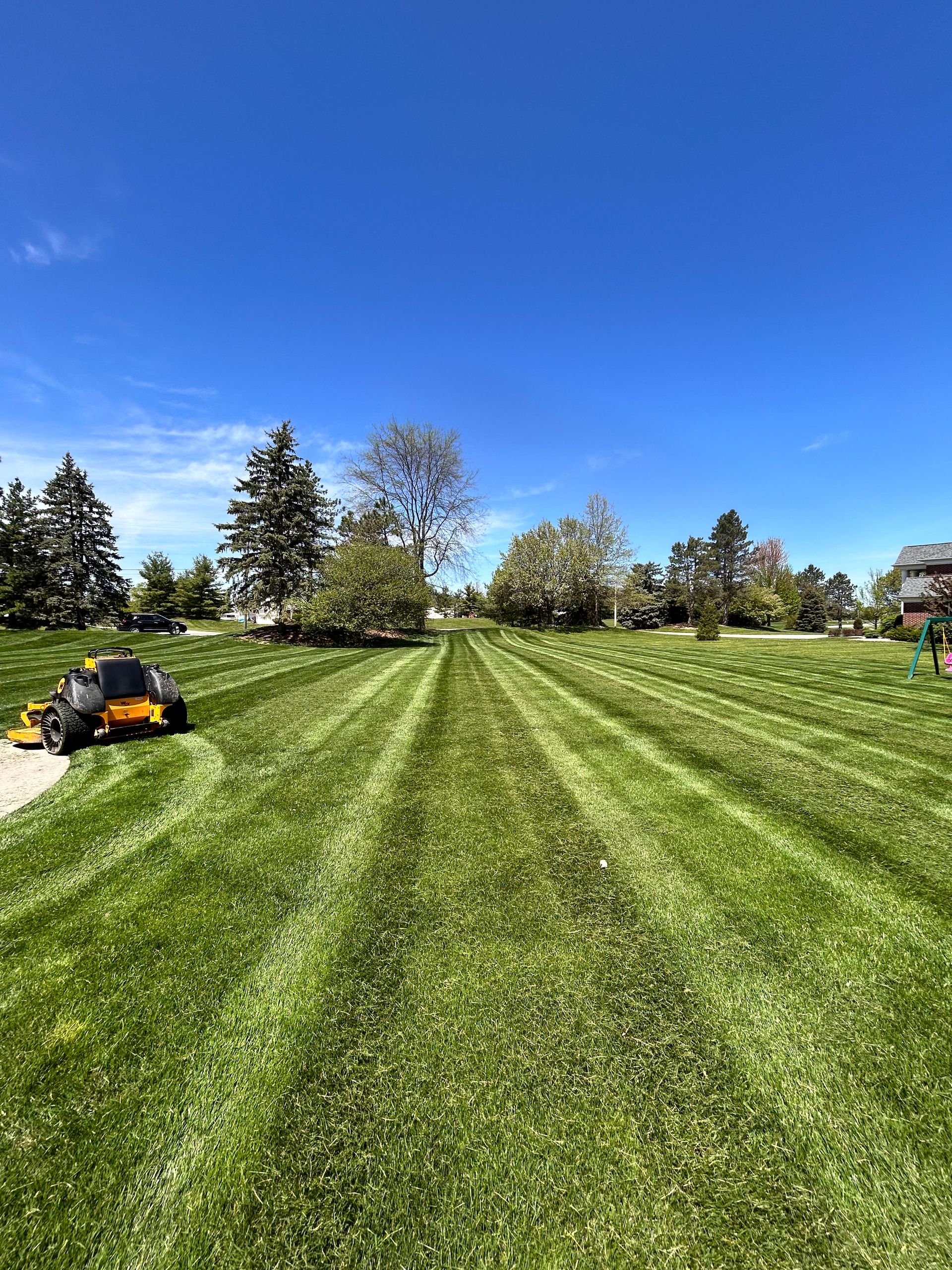 Lawn mowed in stripes under a blue sky. A yellow zero-turn mower is on the left. Trees and a house are in the distance.