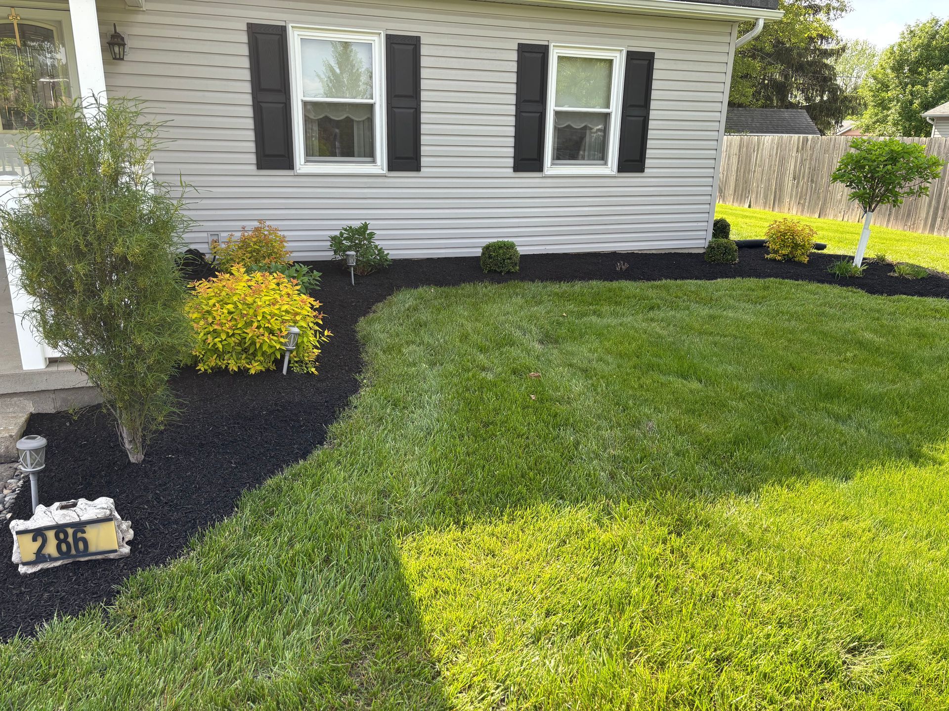 A house with green lawn and black mulch beds containing bushes. Sunny day.