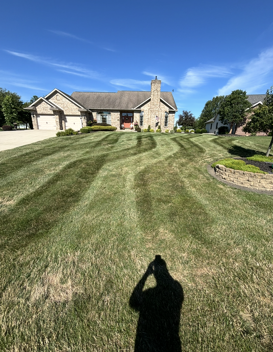 Lawn mowed in striped pattern, with trees and a gravel driveway in the background. Sunlight casts shadows on the grass.