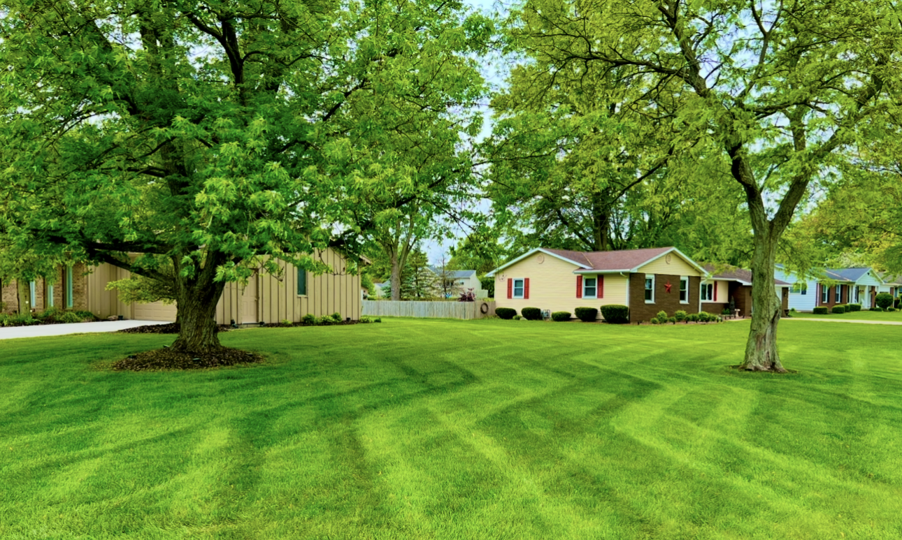Lawn with freshly cut striped pattern on a sunny day. Green grass, blue sky, and trees.