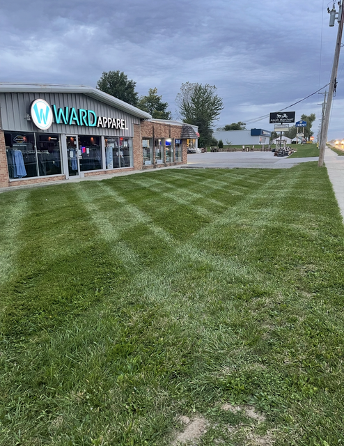Lawn mowed with alternating light and dark green stripes, trees in the background under an overcast sky.