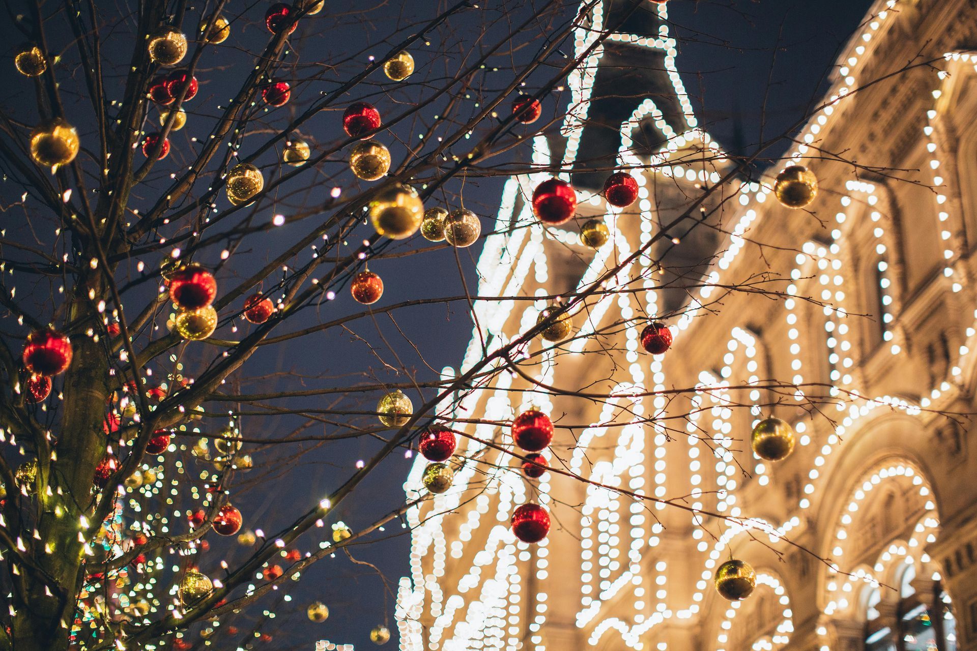 Festive holiday lights and red ornaments hang on tree branches beside a lit building at night