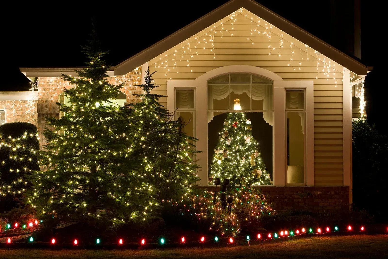 House with Christmas lights on bushes, tree, and roofline at night.