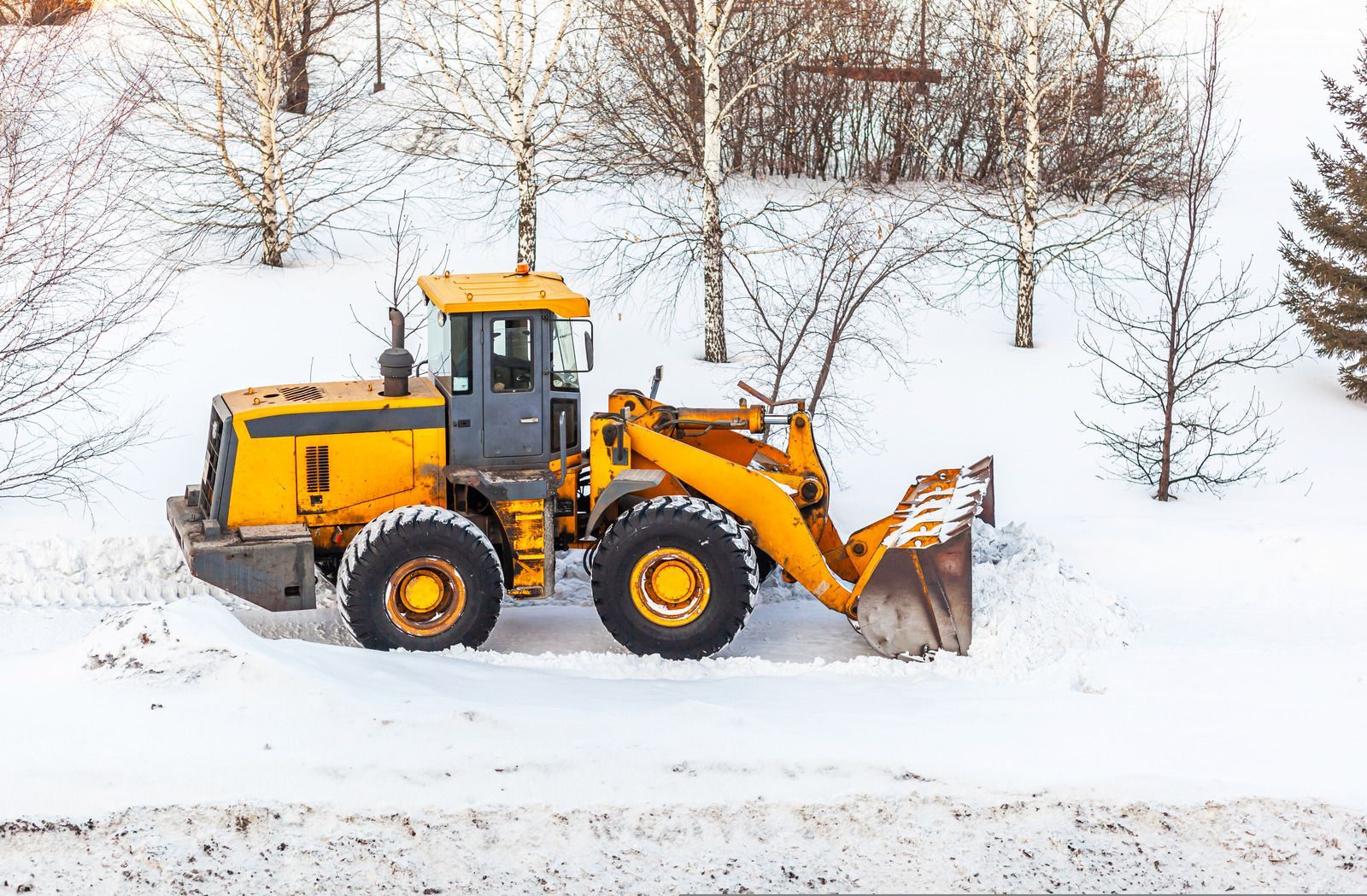Yellow snowplow parked in snow; bare trees in background.