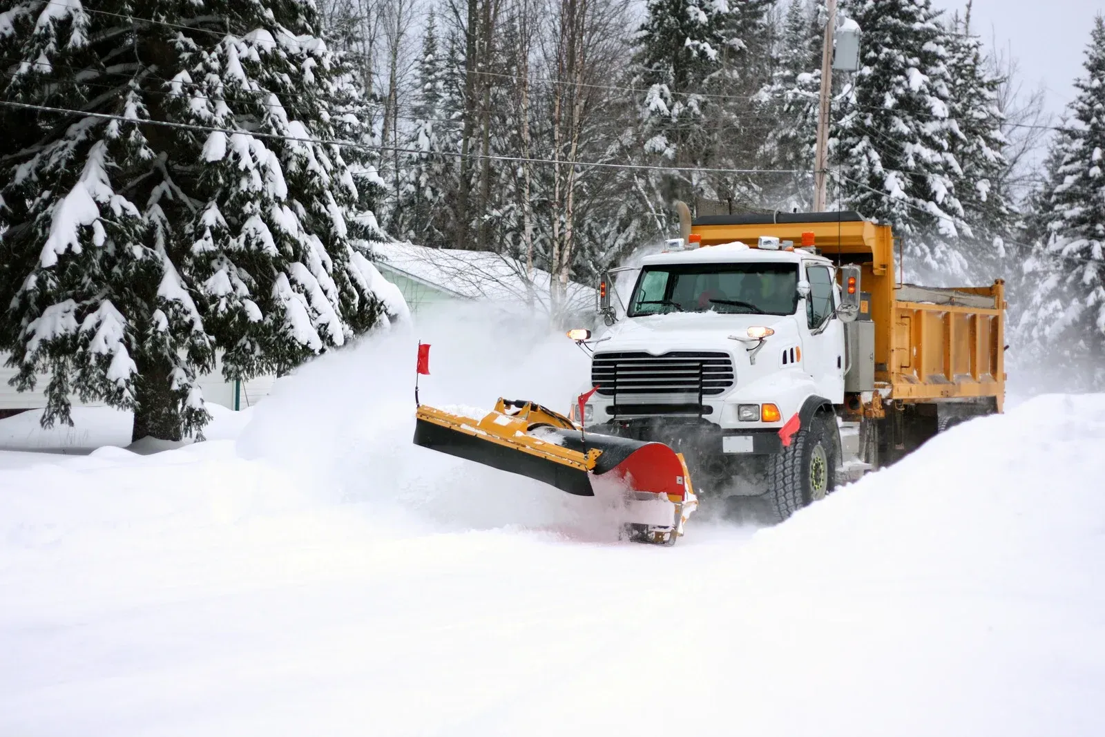 A snowplow clearing a snowy road, with pine trees in the background. The truck is white with a yellow plow and dump bed.