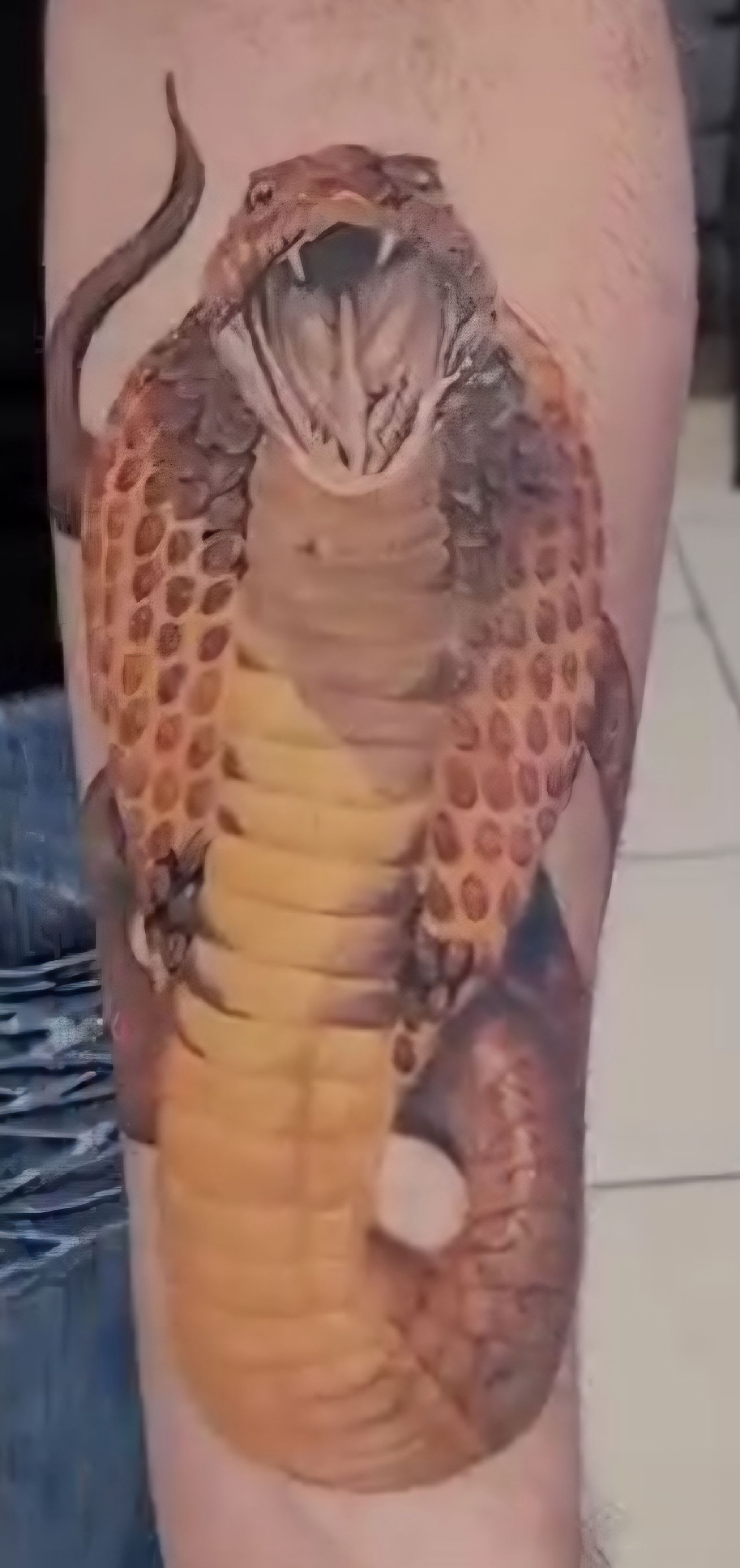 Realistic cobra snake tattoo on an arm, with open mouth, fangs, and detailed scales.