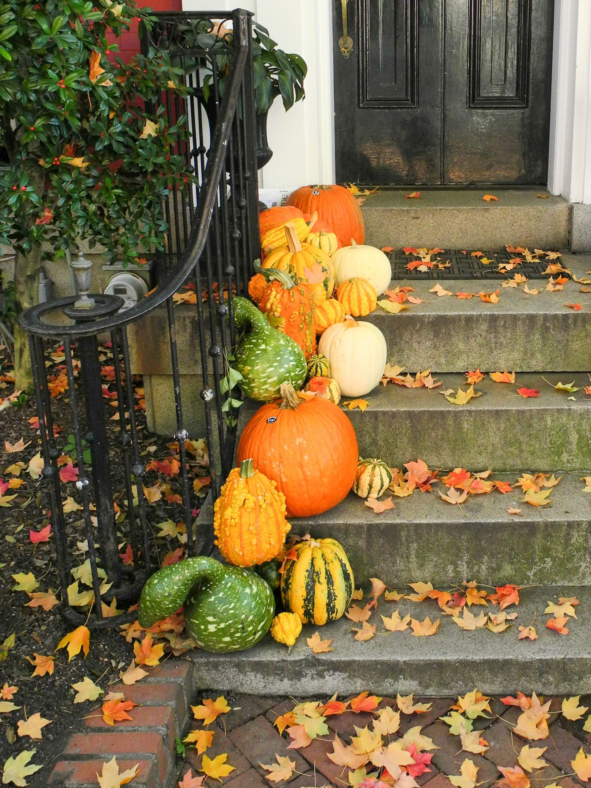 Pumpkin_Decor_on_steps