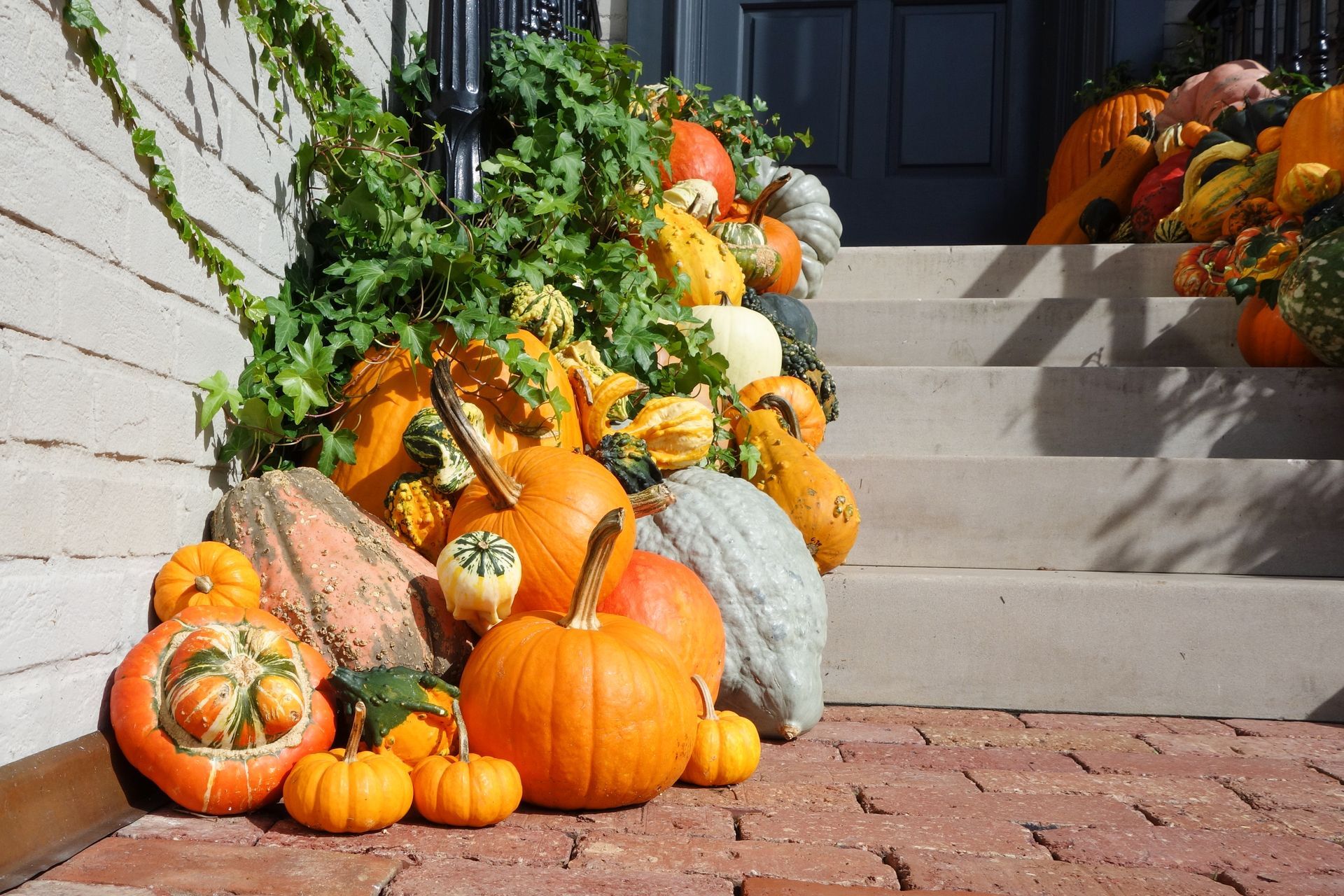 Large_pile_of_Pumpkins