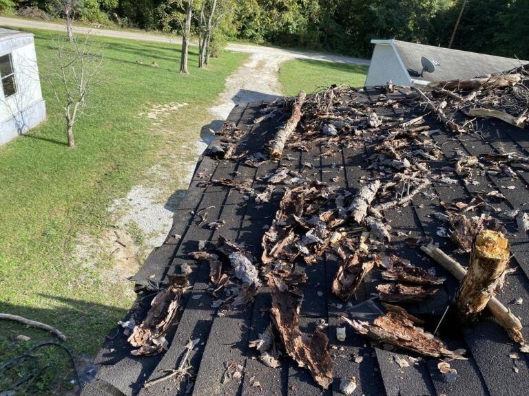 A roof with a lot of leaves on it