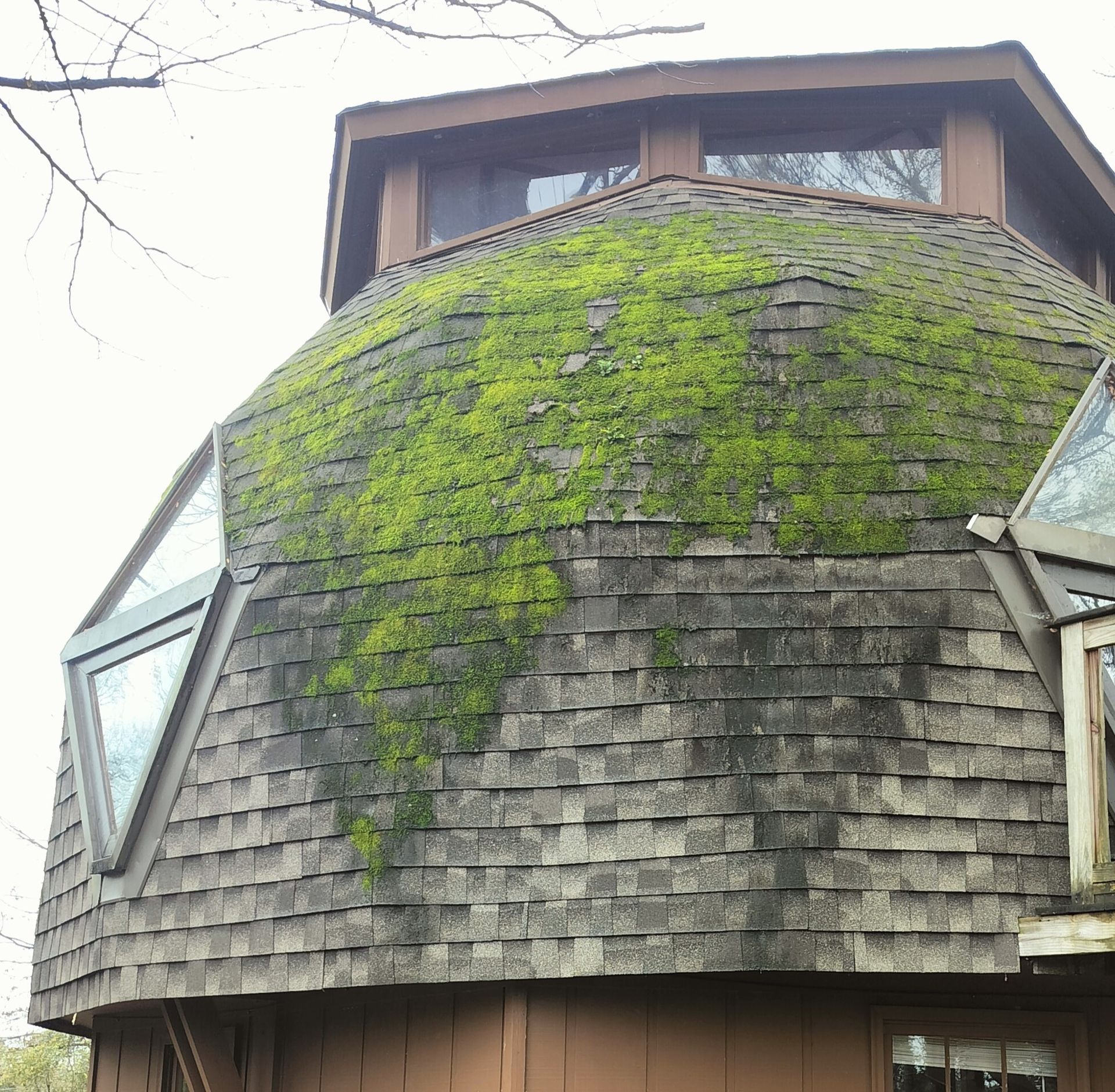 A dome shaped building with moss growing on the roof