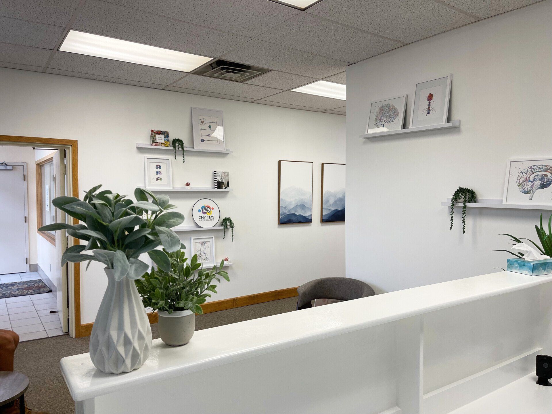 There are two potted plants on the counter in a room.