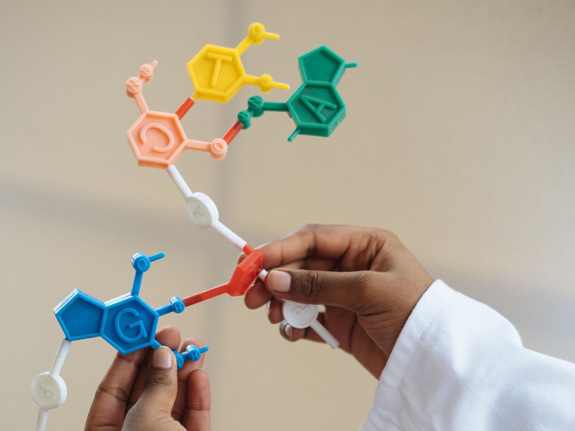 A person is holding a model of a molecule in their hands.