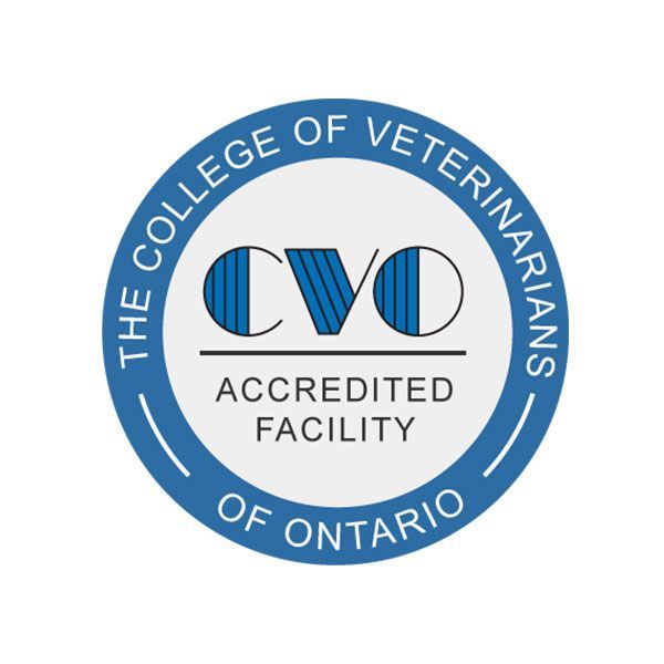 Blue and white circular logo: The College of Veterinarians of Ontario, “CVO” with vertical lines, “Accredited Facility.”
