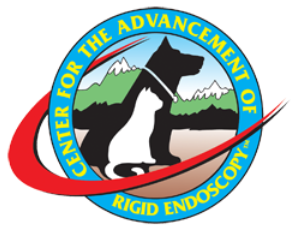 Logo: dog and cat silhouette, mountains, red and blue arc, text 