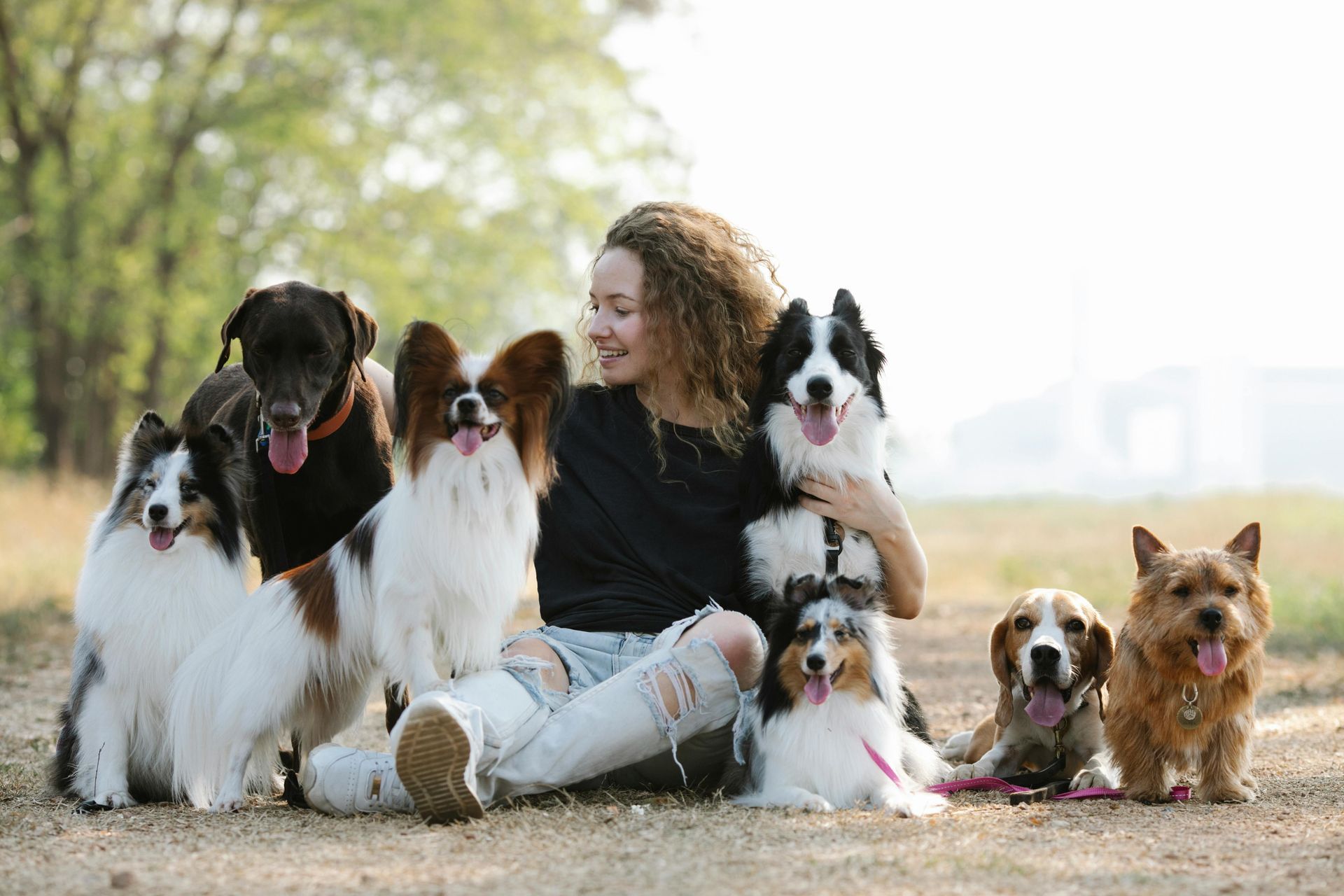 Woman sitting with seven dogs outdoors; sunny, smiling, dogs looking at camera.