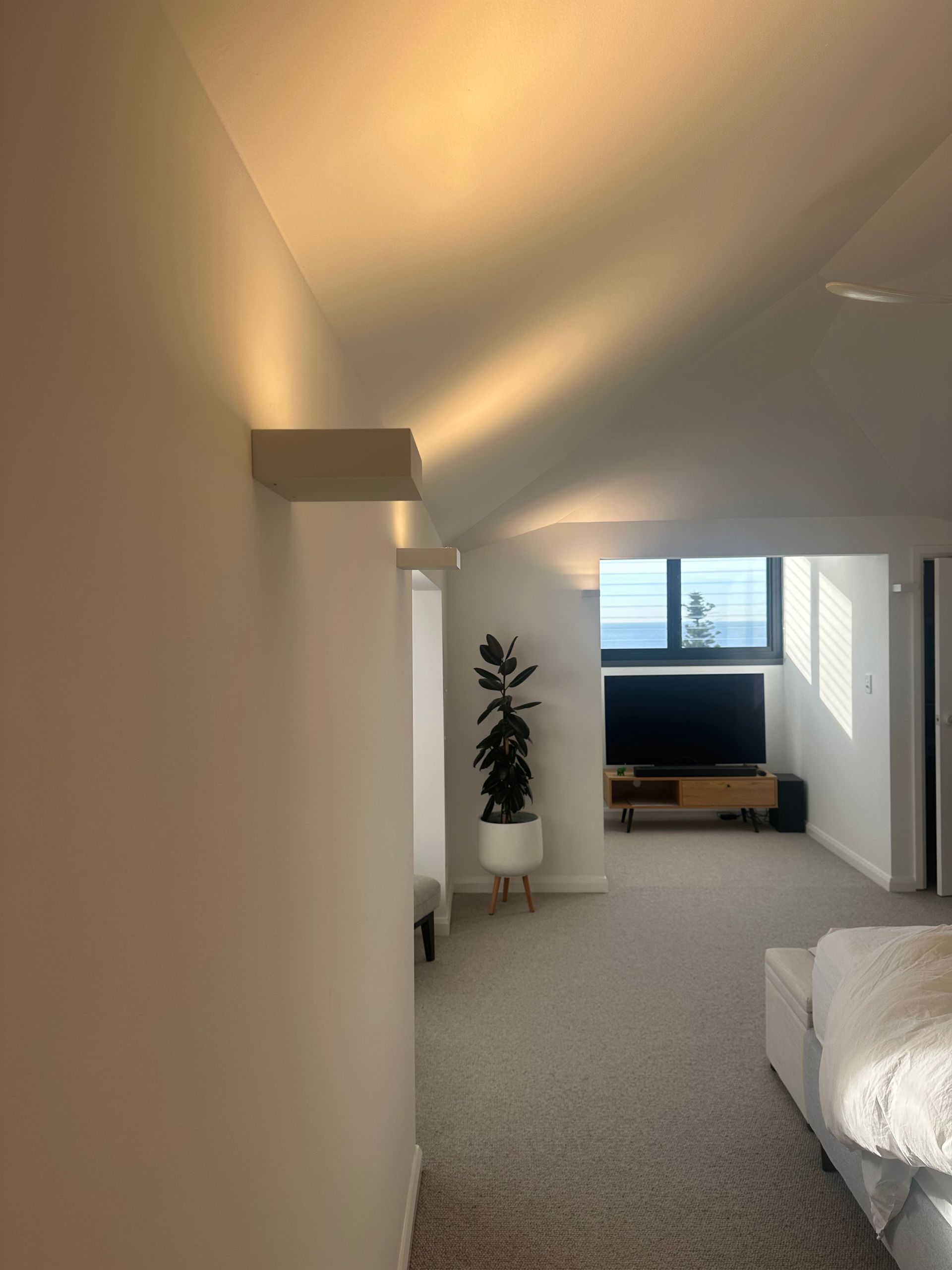 White-walled room with a plant, TV, and sunlight streaming through a window. Carpeting on the floor — SparkSafe Electrical in Shellharbour, NSW