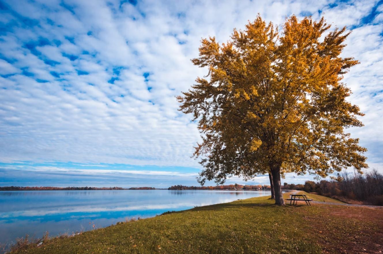 cremation service Biddeford, ME