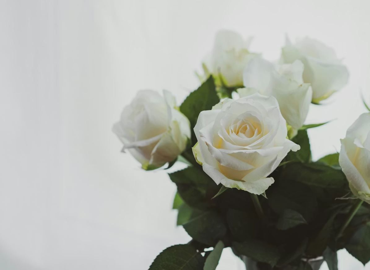 cremation service Kennebunk, ME