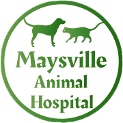 Maysville Animal Hospital