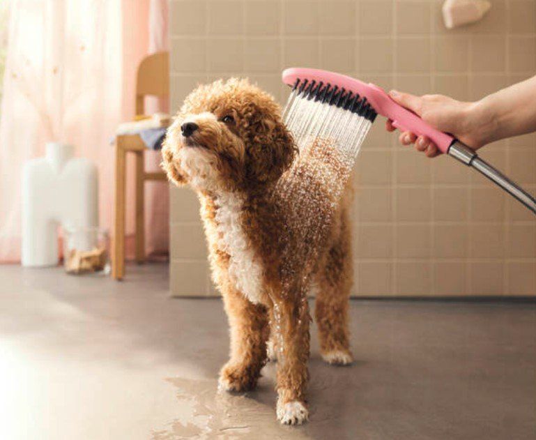 punto vendita rubinetti e arredo bagno a Milano