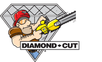 Diamond Cut Inc