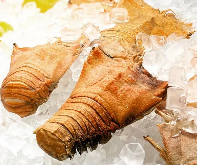 Brown Mantis Shrimp Tails on Ice — Pt Cartwright Seafoods in Warana, QLD