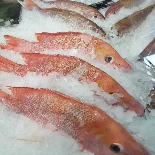 Red Fish Displayed on Ice — Pt Cartwright Seafoods in Warana, QLD