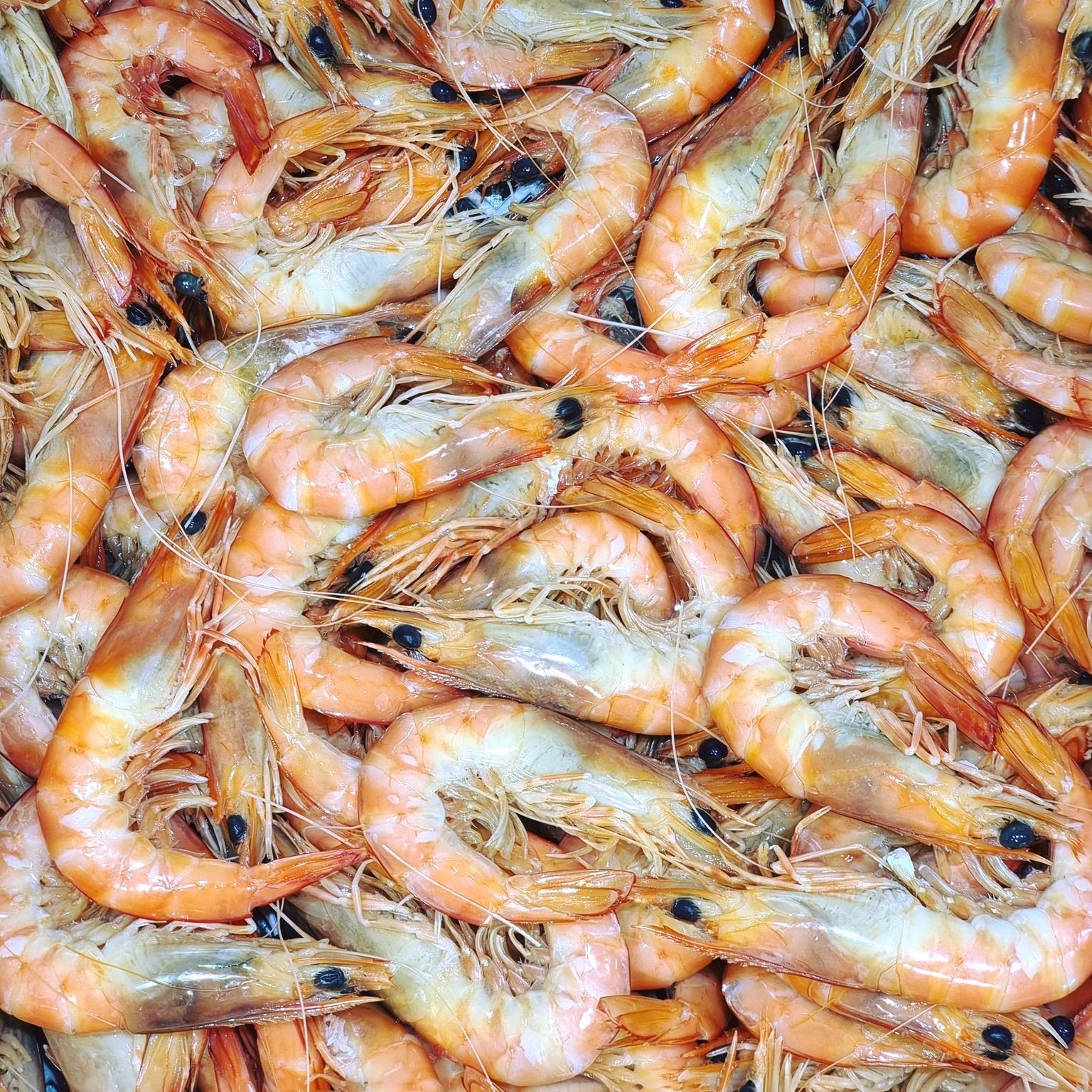 Pile of Cooked Shrimp, Orange-pink in Color — Pt Cartwright Seafoods in Warana, QLD