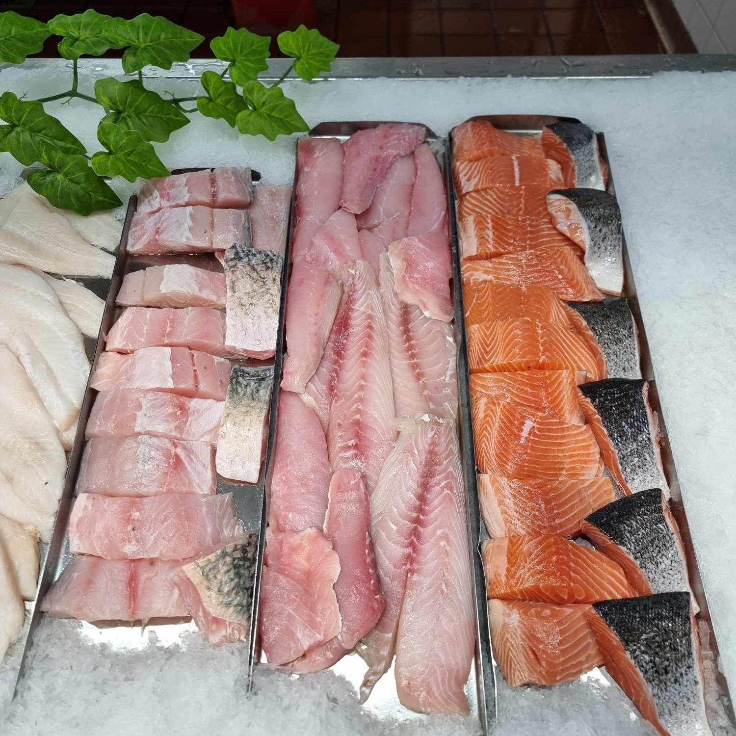 Display Case of Fish Fillets on Ice — Pt Cartwright Seafoods in Warana, QLD