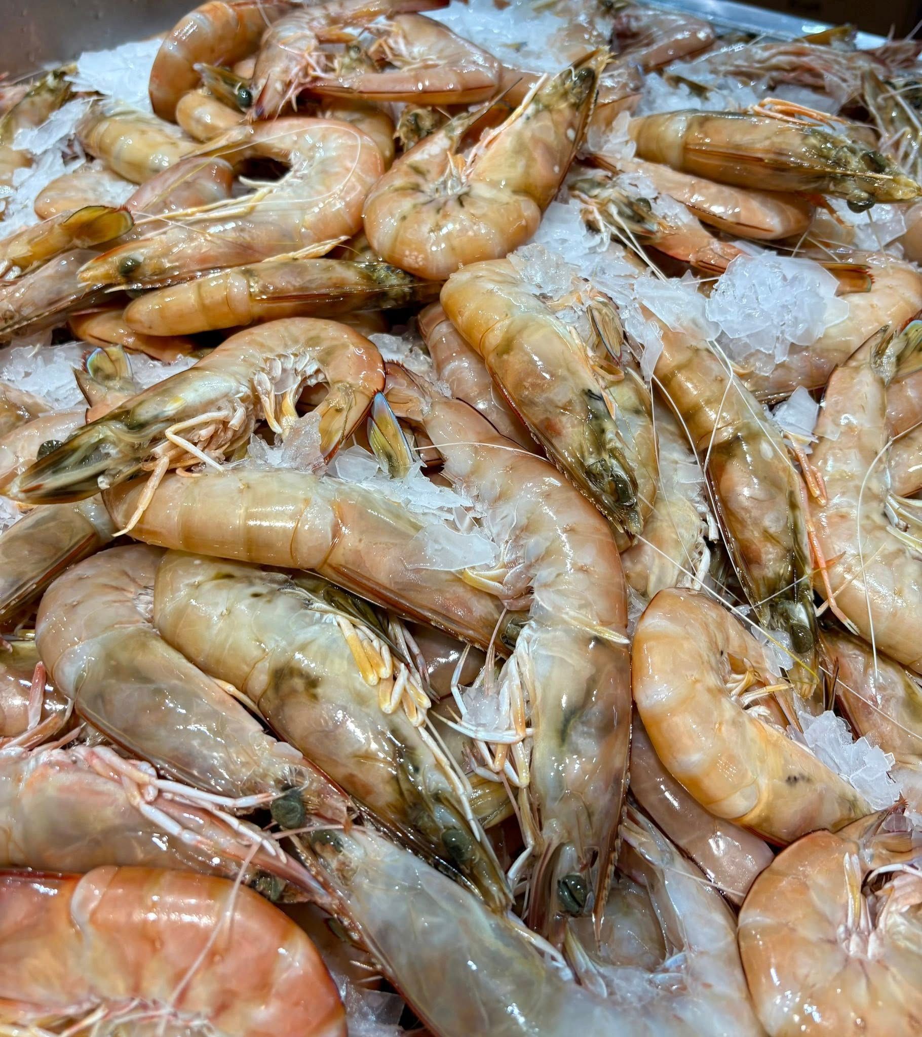 Pile of Raw Shrimp on Ice — Pt Cartwright Seafoods in Warana, QLD