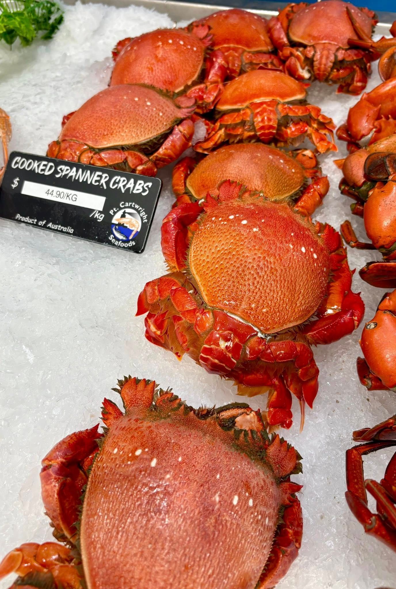 Cooked Spanner Crabs on Ice, Bright Red Shells — Pt Cartwright Seafoods in Warana, QLD