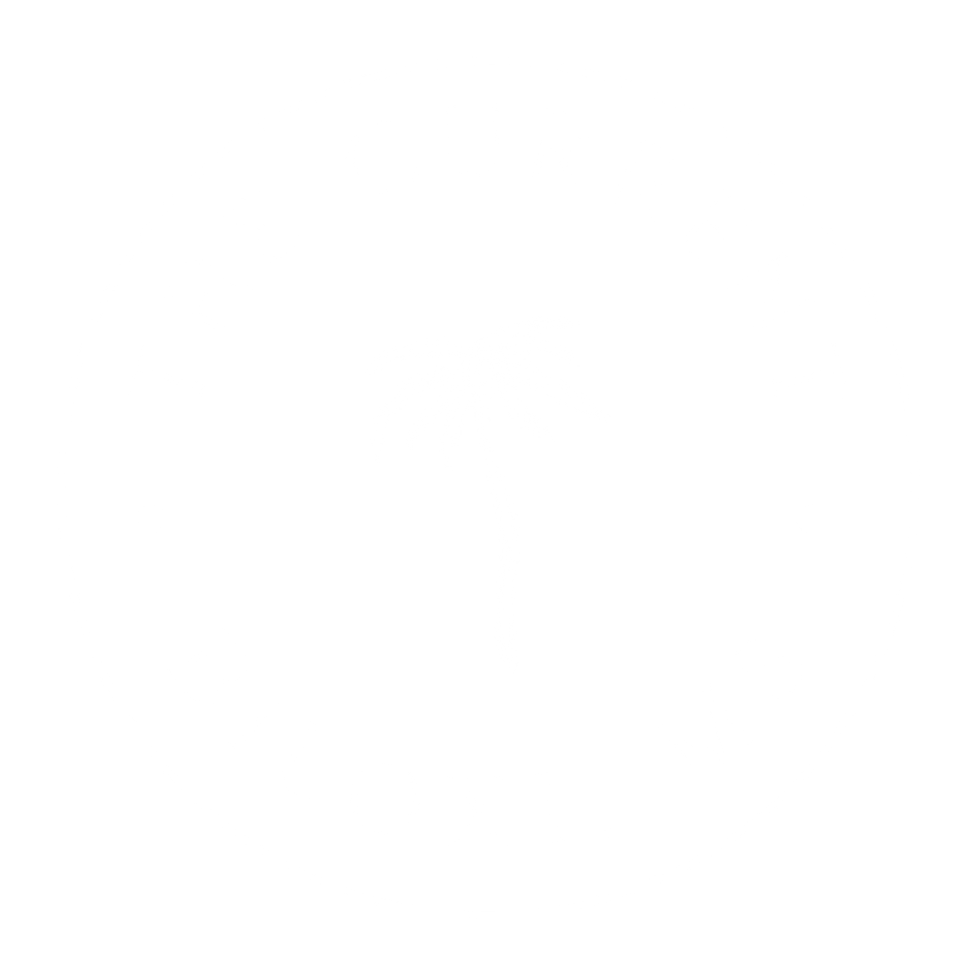 Company Logo - White