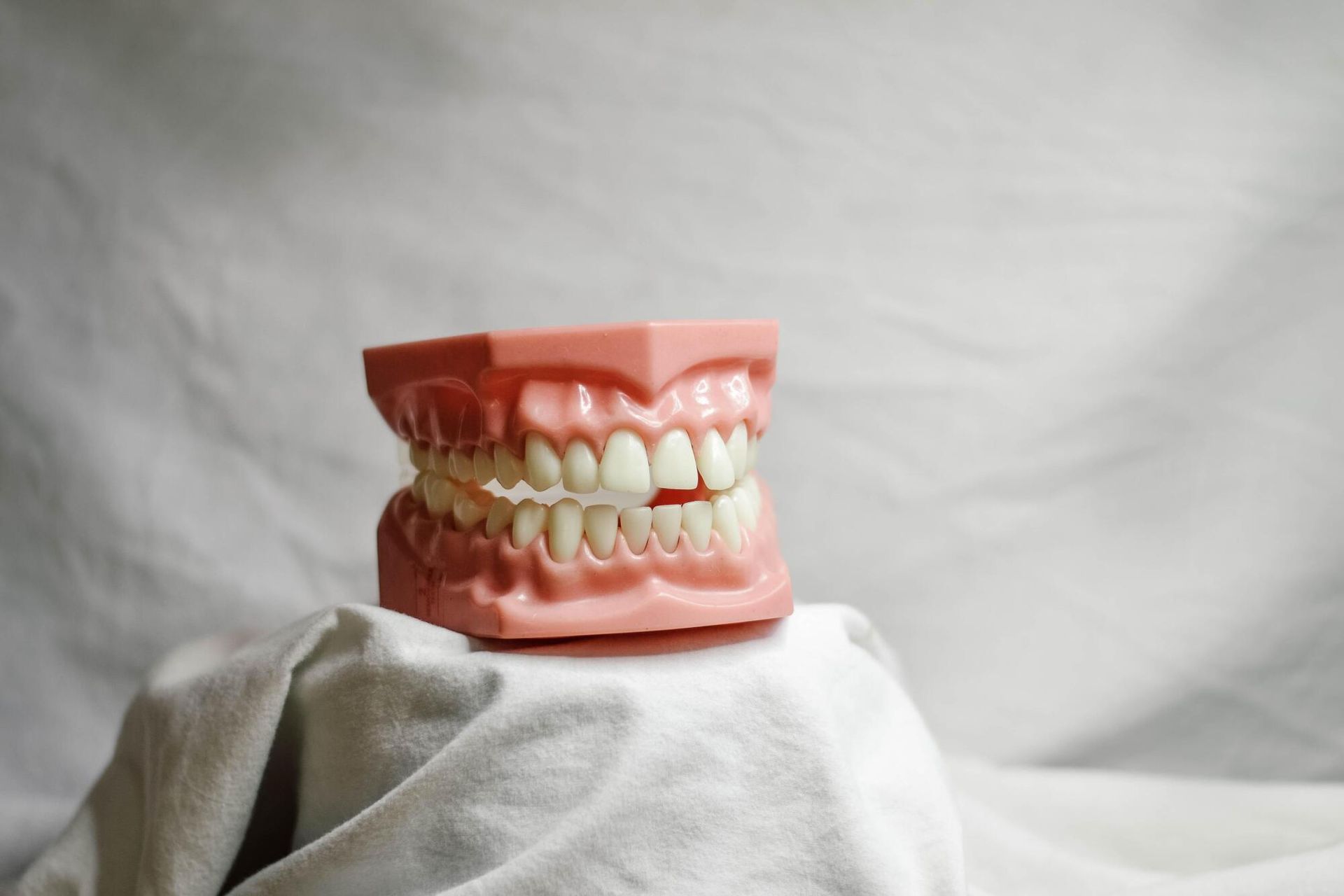 Model of a set of teeth with pink gums and white teeth, on a white cloth.