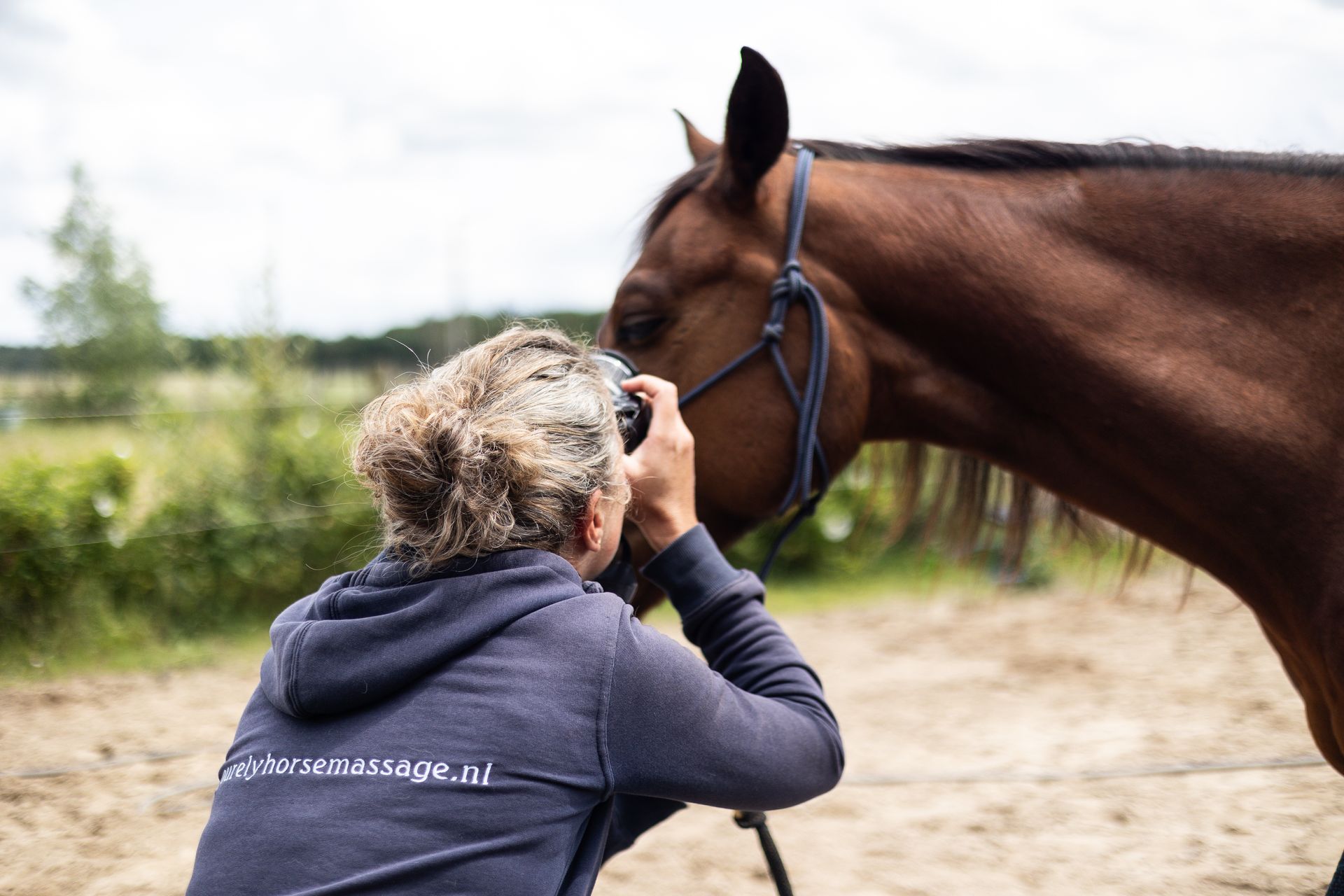 purely horse massage acupressuur chinese geneeskunde paard behandeling iriscopie drenthe groningen