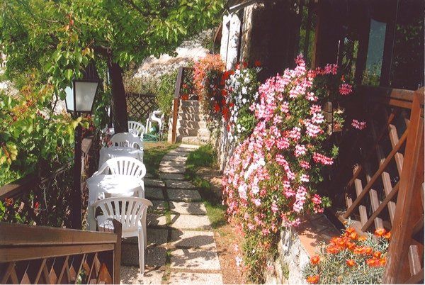 sedie di plastica e fiori nel giardino di ristorante