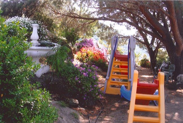 scivoli in un giardino