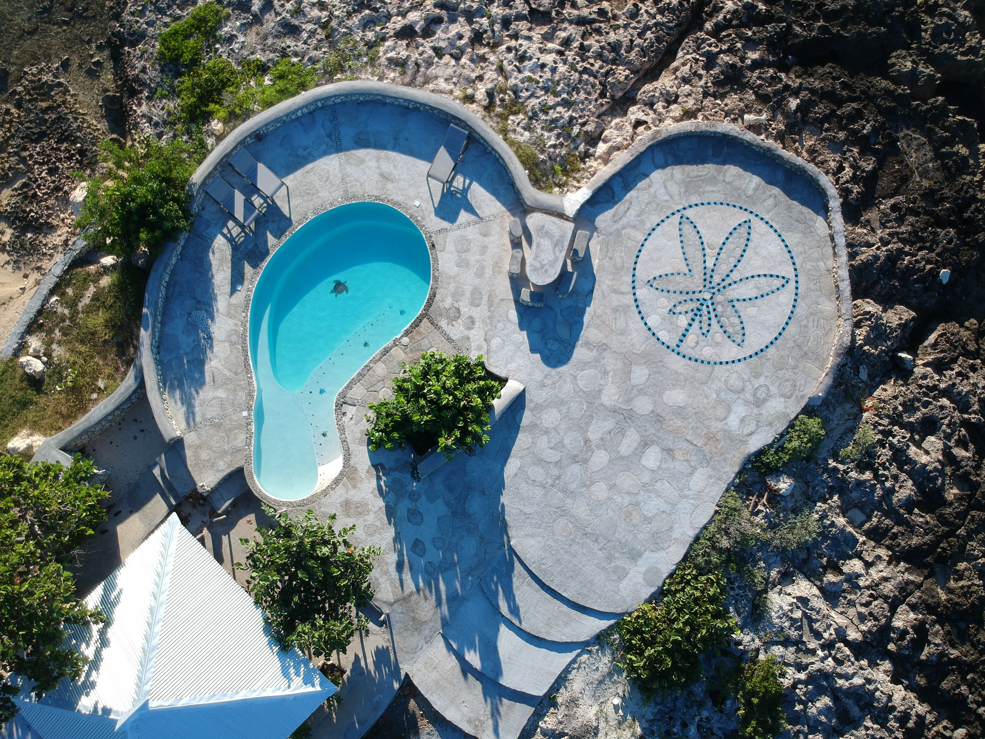 An aerial view of a heart shaped swimming pool