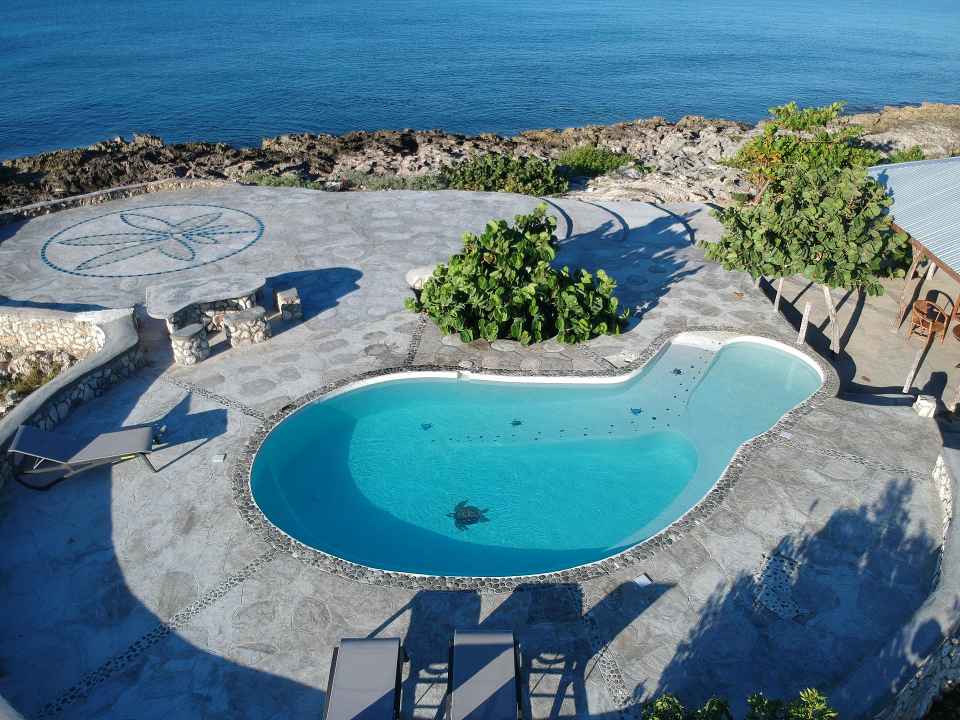 An aerial view of a large swimming pool near the ocean