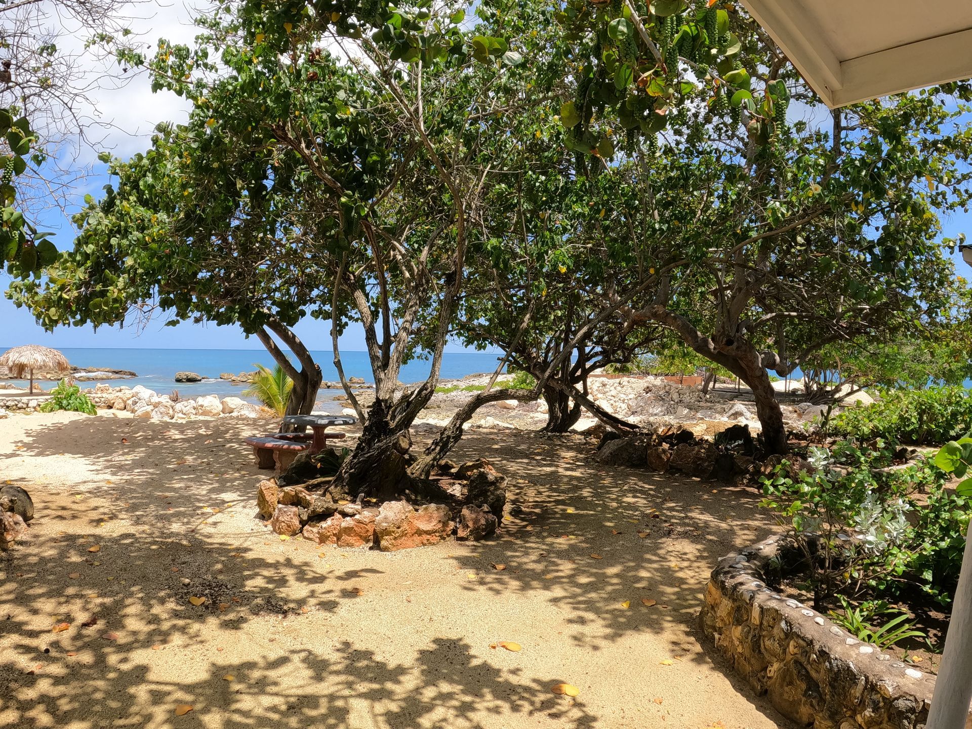 A view of the ocean from a patio with trees in the foreground.