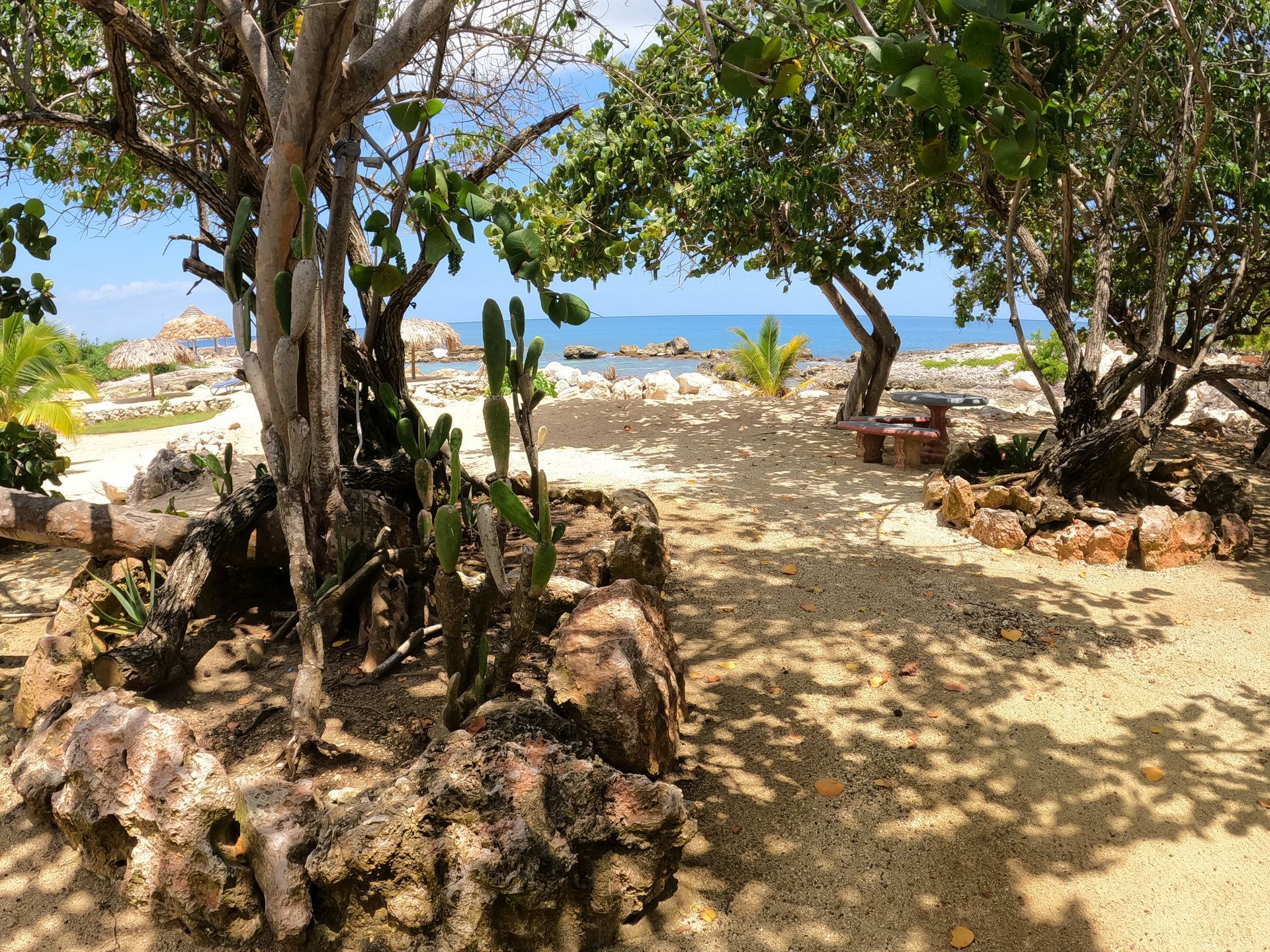 A path leading to a beach surrounded by trees and rocks.