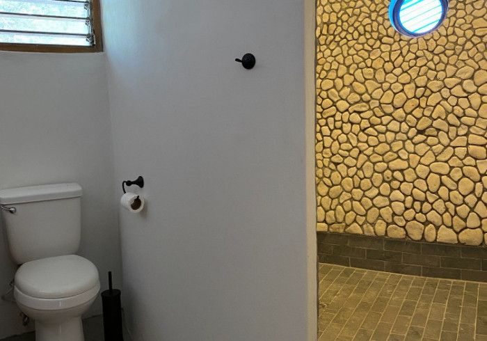 A bathroom with a toilet and a shower with a stone wall.