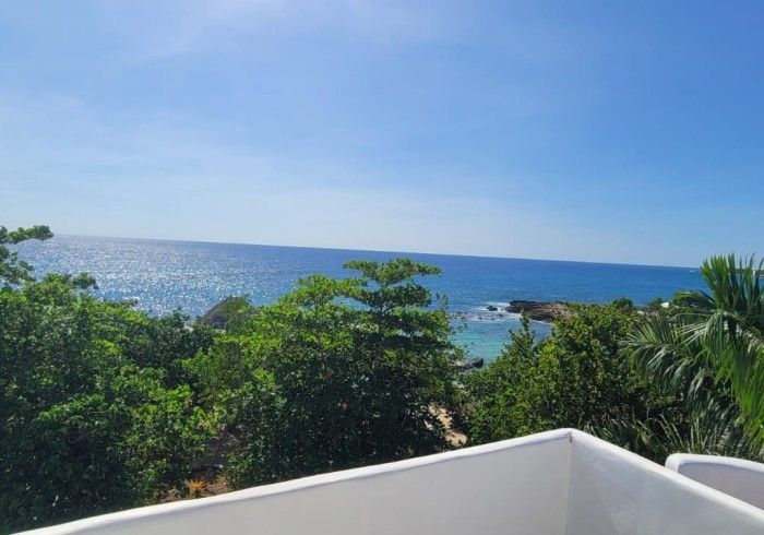 A view of the ocean from a balcony with trees in the foreground.