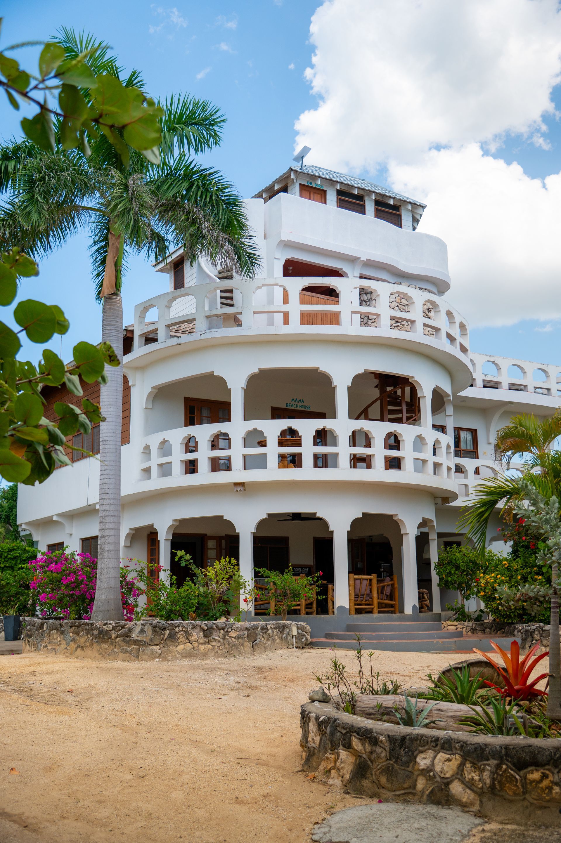 A large white building with a palm tree in front of it.