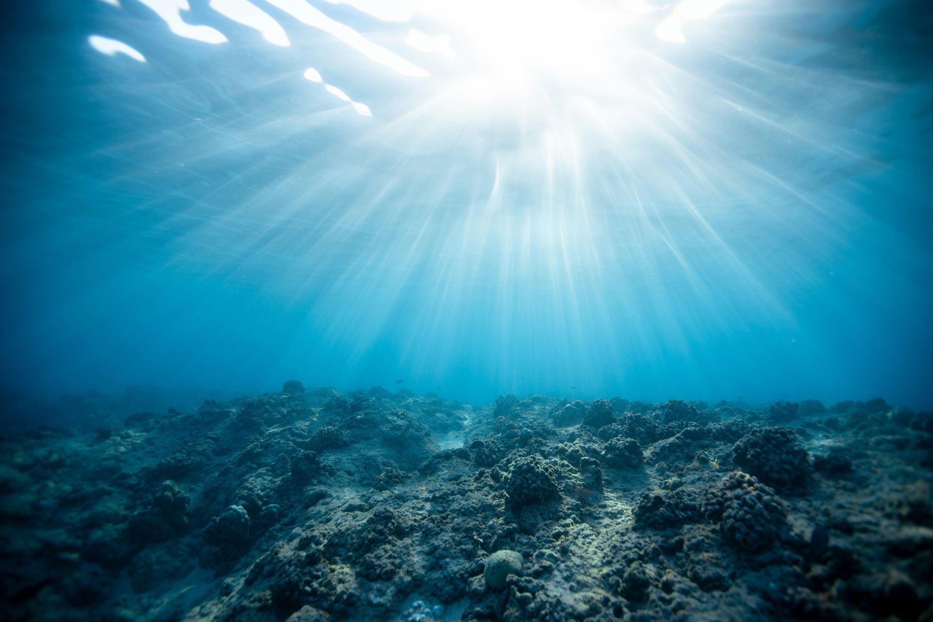 The sun is shining through the water on a rocky reef.