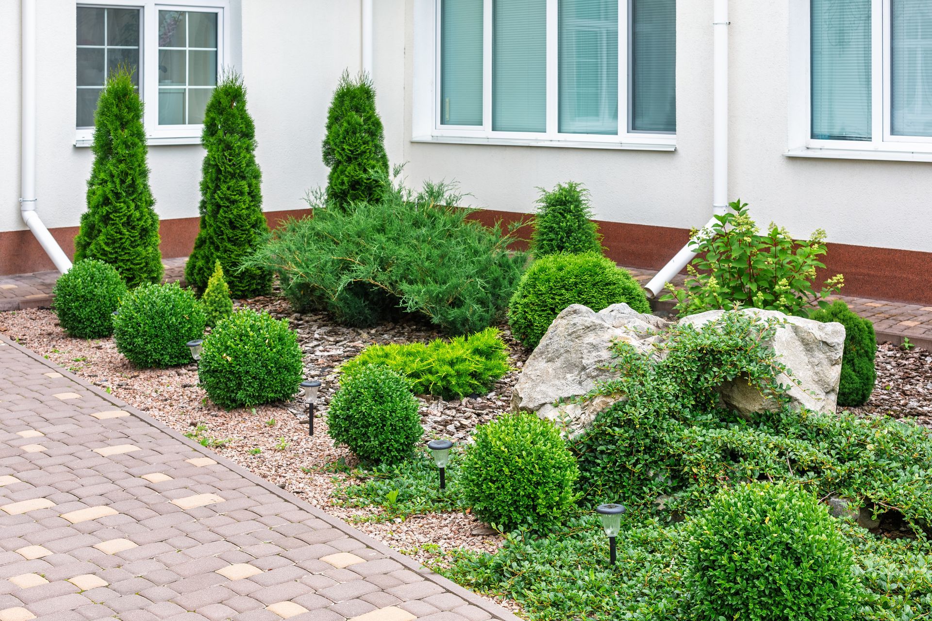 A landscaped garden bed with evergreen shrubs, round bushes.