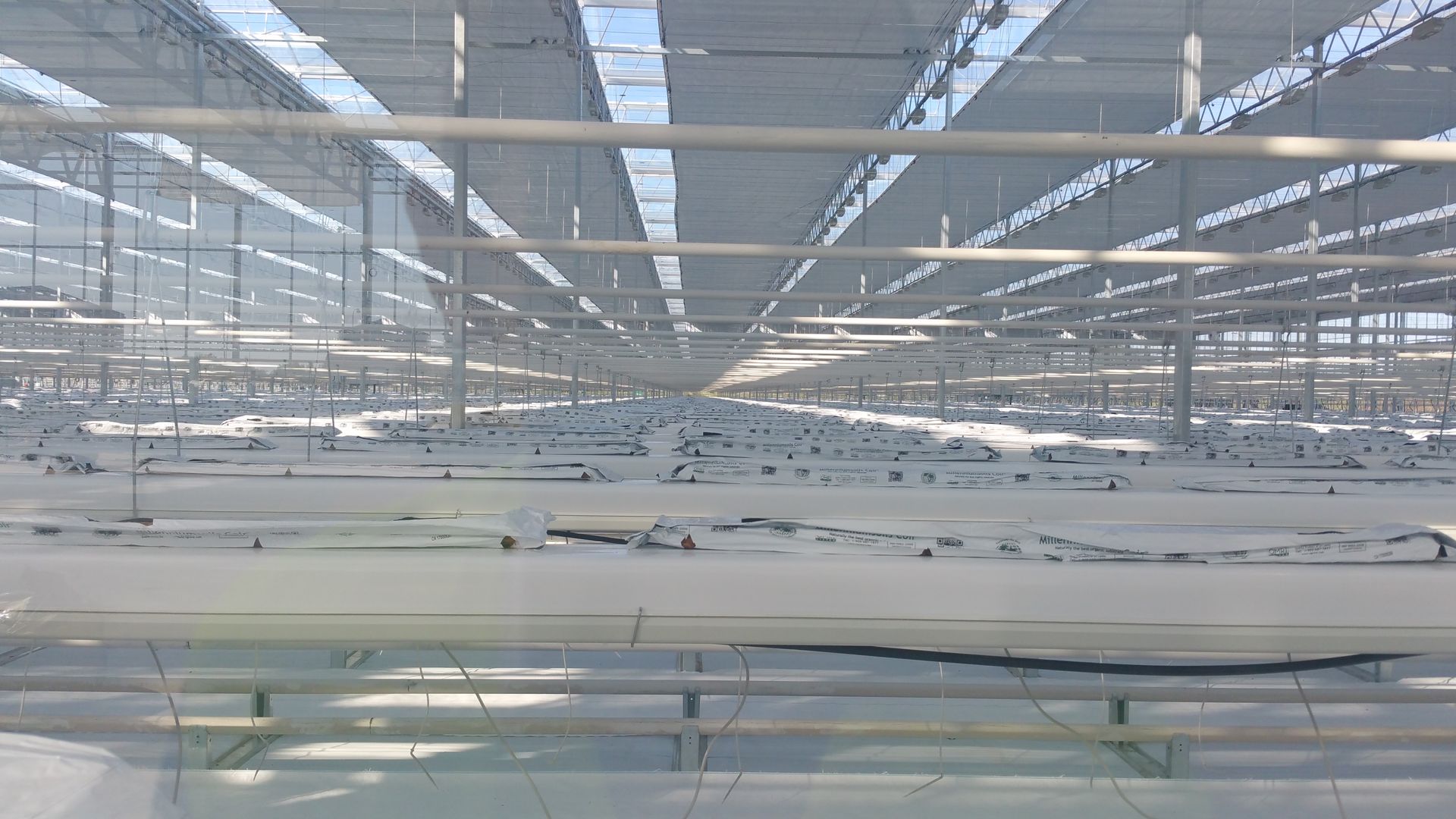 Greenhouses - artificial illumination of products