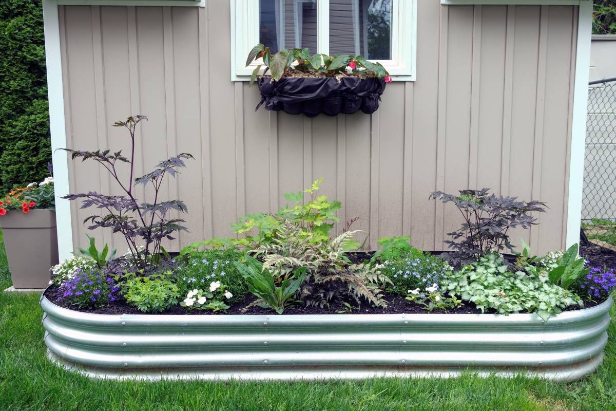 A flower and herb plot with galvanized metal sides ready for painting near Lexington, Kentucky (KY)