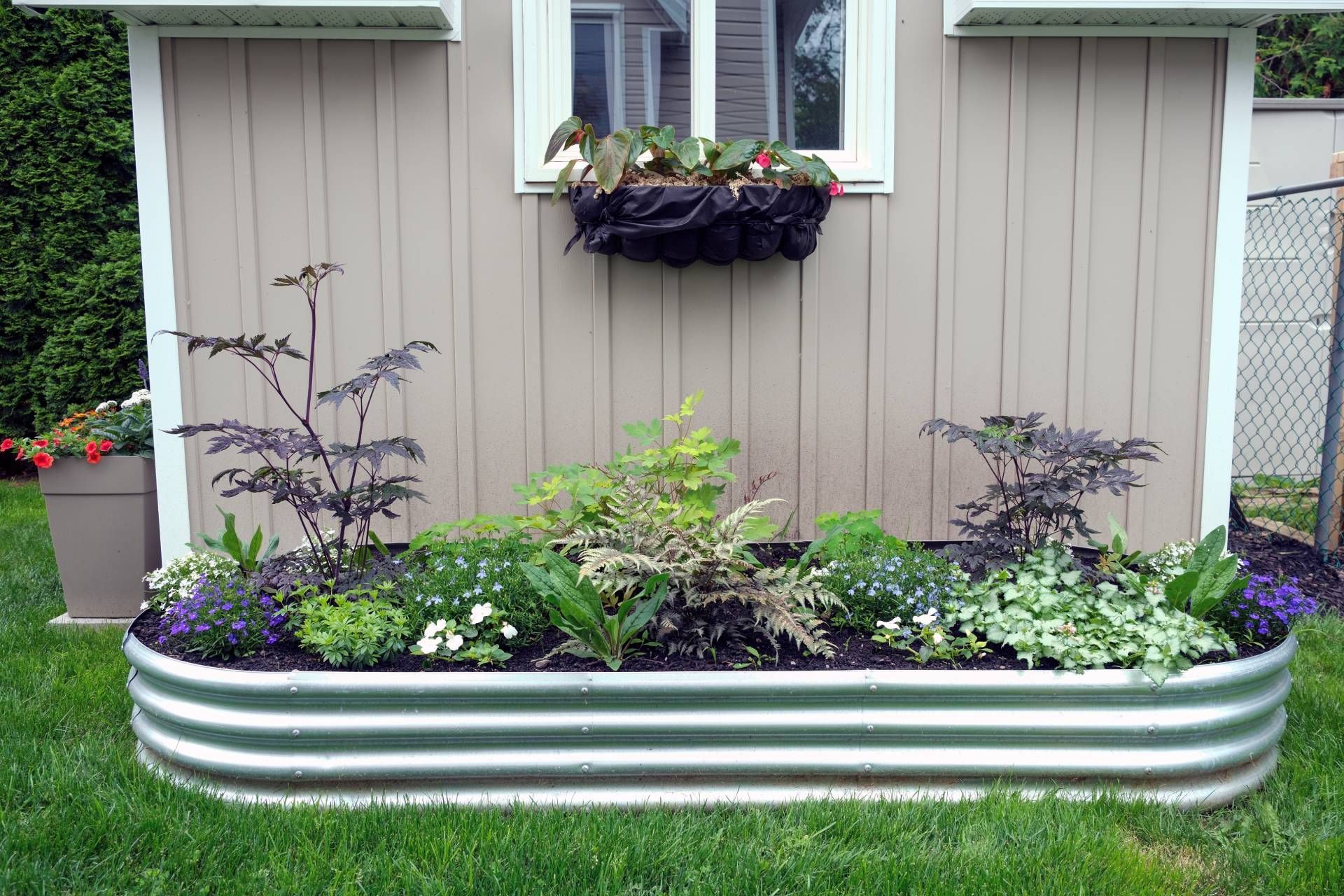 A flower and herb plot with galvanized metal sides ready for painting near Lexington, Kentucky (KY)