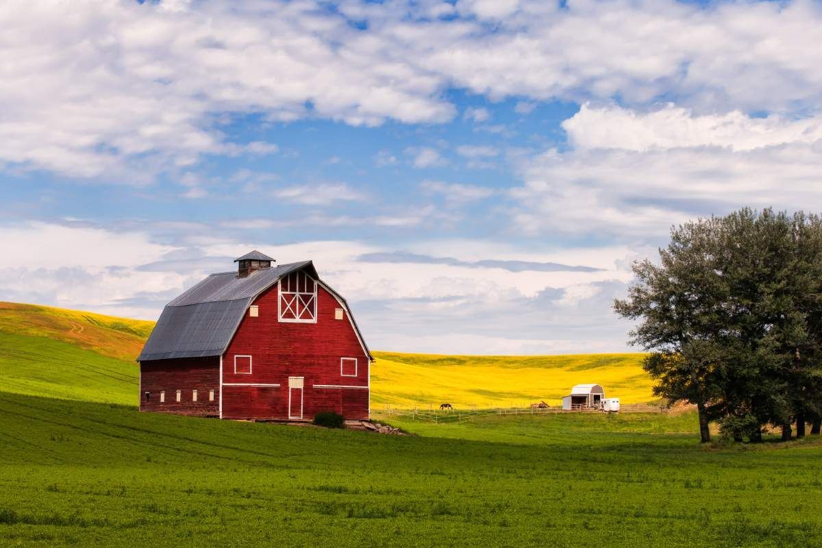 Red Barn in Open Field