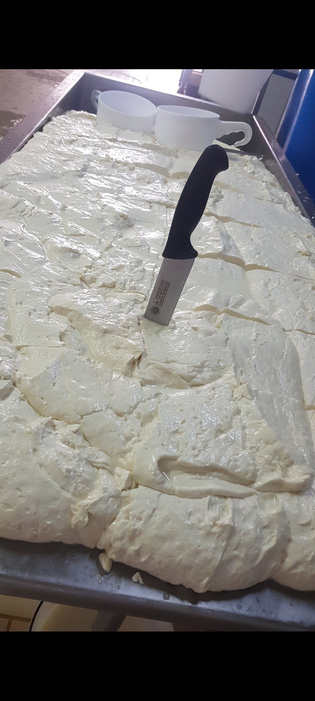 Mozzarella artigianale